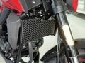 YENI 2025 REGAL RAPTOR SPN 125 TAM BIR GENÇ