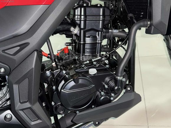 YENI 2025 REGAL RAPTOR SPN 125 TAM BIR GENÇ
