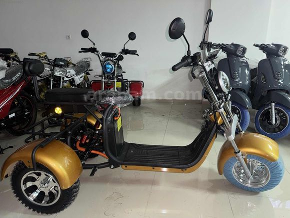 YENI MODEL CİTYCOCO TRIKE CP3 ÜÇ TEKER ELEKTRIKLI
