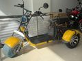 YENI MODEL CİTYCOCO TRIKE CP3 ÜÇ TEKER ELEKTRIKLI