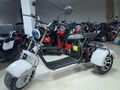 YENI MODEL CİTYCOCO TRIKE CP3 ÜÇ TEKER ELEKTRIKLI
