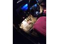 Sahibinden Fiat Tipo 1.6 S 1994 Model