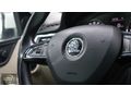 104.000 KM'DE 2014 OTOMATİK 1.6 CR TDİ SPACEBACK ELEGANCE RAPİD