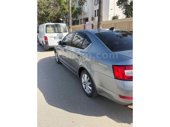 Sahibinden Skoda Octavia 1.6 TDI Elegance CR 2013 Model 