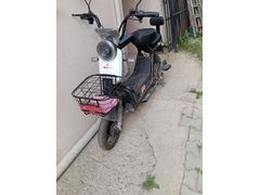 Sahibinden Motolux Piton 50