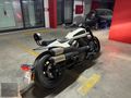 2023 HARLEY-DAVİDSON SPORTSER S WHİTE SAND PEARL