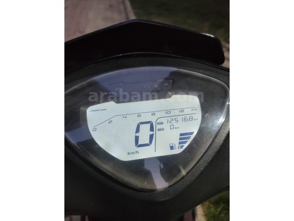 Sahibinden Kuba Pesaro 50 X