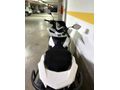 Sahibinden Honda PCX125 DX 