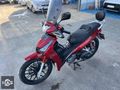 Küba Cristal 50 CC 2024