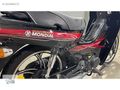 TMS MOTORS'TAN MODİAL 50 SFC