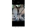 Sahibinden Volvo S40 1.6 D Dynamic 2008 Model