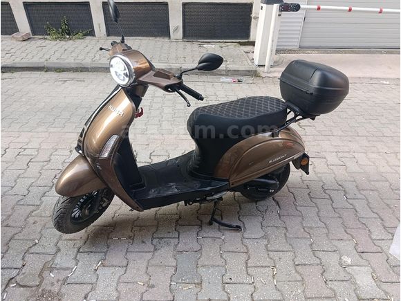 Sahibinden Kuba Blueberry 50
