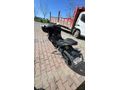Sahibinden temiz Voge 250 RR 