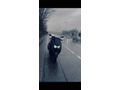 Sahibinden Yamaha N-Max 125 
