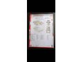 TAKASLI SAHİBİNDEN OTAMATİK