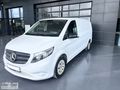 Mer-Ser 2020 Mercedes-Benz 114 CDİ Vito Panelvan