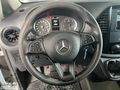 Mer-Ser 2020 Mercedes-Benz 114 CDİ Vito Panelvan