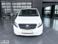 Mer-Ser 2020 Mercedes-Benz 114 CDİ Vito Panelvan