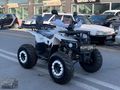 TÜRKMEN GÜNEŞDEN 2024 VOLTA REVOLT RA5 180CC AKSSUARLI ATV