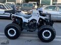 TÜRKMEN GÜNEŞDEN 2024 VOLTA REVOLT RA5 180CC AKSSUARLI ATV