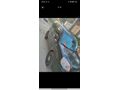 Sahibinden Fiat Doblo Combi 1.3 Multijet 2012 Model