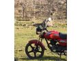 Sahibinden Mondial 100 Superboy i 