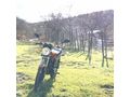 Sahibinden Mondial 100 Superboy i 