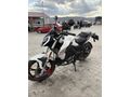 Sahibinden Benelli 125 S 