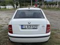 SBS GARAGE'DEN 2002 FABİA HATASIZ AYARINDA