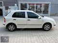 SKODA FABİA DEĞİŞENSİZ
