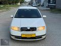 SKODA FABİA DEĞİŞENSİZ