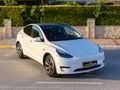 LUXE DRİVEDAN EAP'LI EMSALSİZ DÜŞÜK KM TESLA MODEL Y