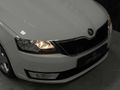 İPEK AUTO / Rapid Spaceback 1.4 TDI GreenTec Style DSG /113.000