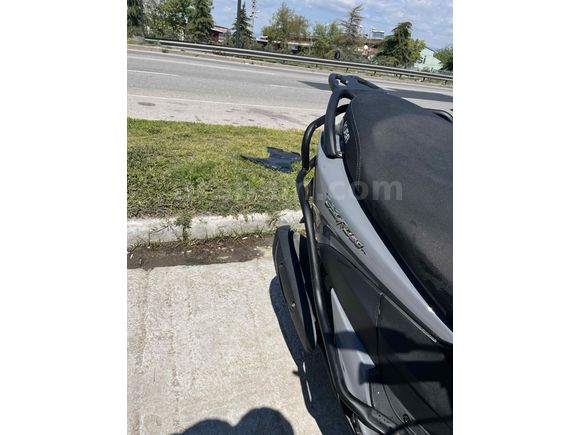 Sahibinden Kuba Pesaro 50 X 