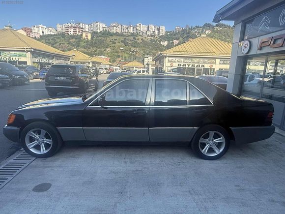 POLATOĞLUN,DAN S 320 LONG