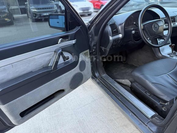 POLATOĞLUN,DAN S 320 LONG