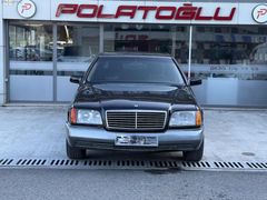 POLATOĞLUN,DAN S 320 LONG