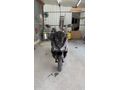 SYM JET X 125