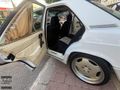 1992 model E190 benzin lpg Çok temiz özel plaka FB