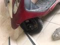 Sahibinden TVS Scooty Pep Plus 