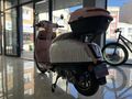 SFM YETKİLİ BAYİ'DEN 2026 MODEL MAYRO 50 CC 12 TAKSİT