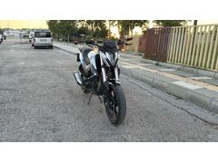 Temiz Falcon Salvador 188 