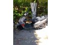 Sahibinden Falcon Quick 50