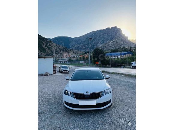 Sahibinden Skoda Octavia 1.6 TDI Optimal 2017 Model 