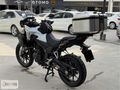 2024 HONDA NX500