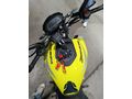 Garaj Motoru 1600 Dominar 250