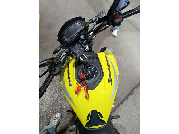 Garaj Motoru 1600 Dominar 250