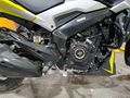 Garaj Motoru 1600 Dominar 250