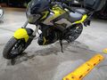 Garaj Motoru 1600 Dominar 250