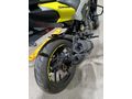Garaj Motoru 1600 Dominar 250
